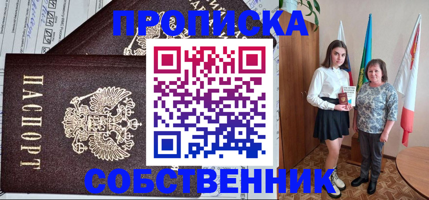 временная регистрация поиск в Белгородской области